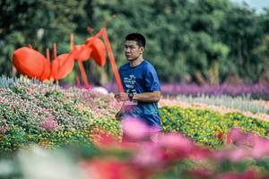 BIB: 
                            <button type="button" onclick="openModal(25934107)" class="btn btn-primary btn-sm float-right btn-popup" data-toggle="modal" data-target=".modal-high-quality">
                        <i class="fas fa-shopping-cart"></i> Add to Cart
                    </button>
                                            <button type="button" onclick="isThisMe(25934107, true)" class="btn btn-success btn-sm float-right btn-popup btn-isme hidden" data-toggle="tooltip" data-placement="bottom" title="นี่คือรูปของคุณใช่ไหม คลิกที่นี่เพื่อเอาเข้าอัลบั้ม">
                        <i class="fas fa-plus"></i> Add to album
                    </button>
                    <button type="button" onclick="isThisMe(25934107, false)" class="btn btn-warning btn-sm float-right btn-popup btn-isnotme hidden">
                        <i class="fas fa-ban"></i> Remove from album
                    </button>